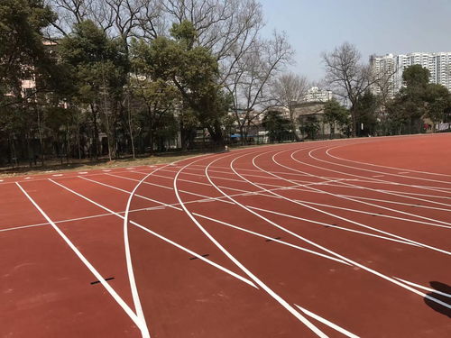 塑膠跑道類型對(duì)比 預(yù)制型跑道卷材的優(yōu)勢(shì)與應(yīng)用