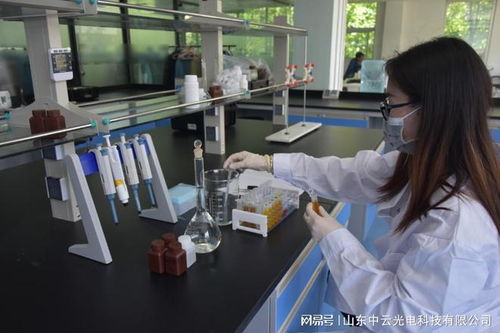 食品重金屬含量檢測儀器設備與計算機房維護服務的協同應用
